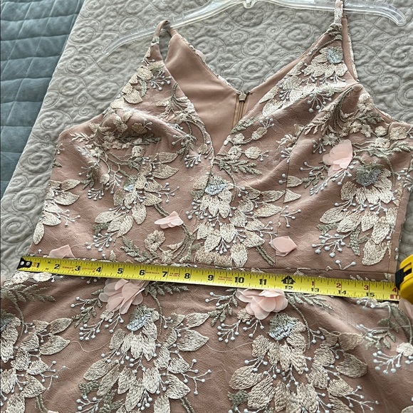 Dress the Population Blush Floral Embroidered Tulle Long Dress - Picture 13 of 16